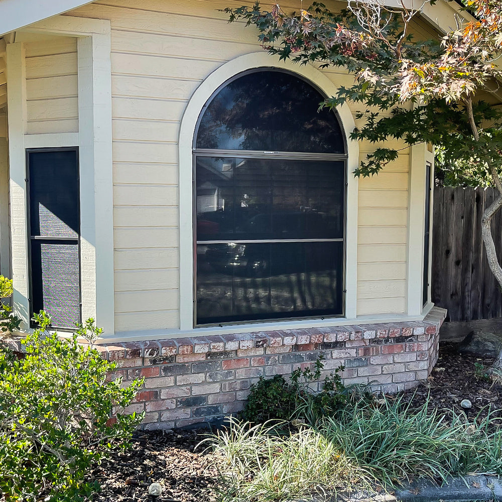 80% Black Solar Sunscreen